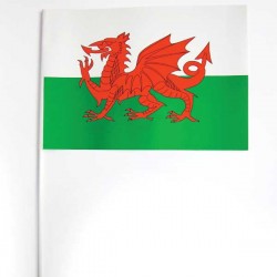 Meta title-Drapeau supporter