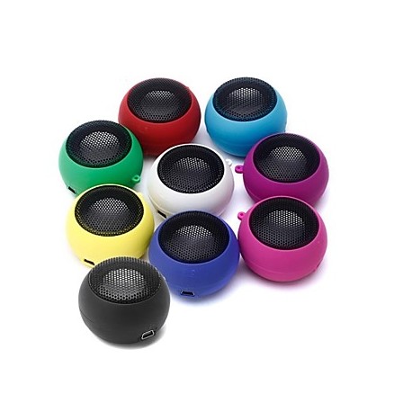 Enceinte portable filaire