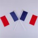 Mini drapeau france