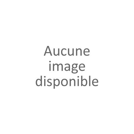 AUTOMOBILE